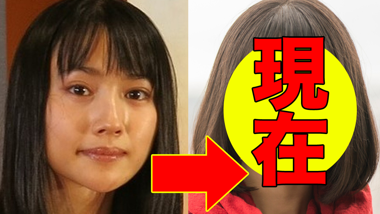 新山詩織の現在 22 活動休止理由も明らかに アノ人の現在